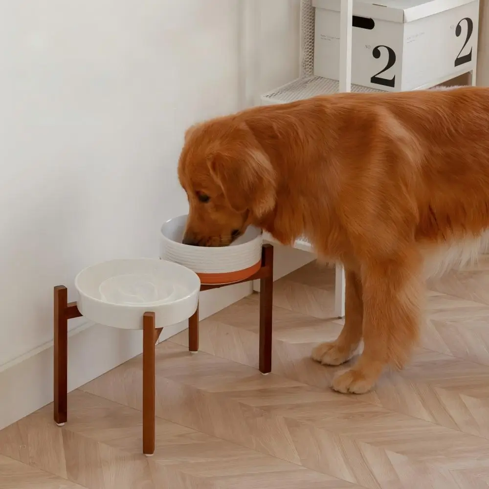 Elevated Ceramic Slow Feeder Dog Bowl with Acacia Wood Stand