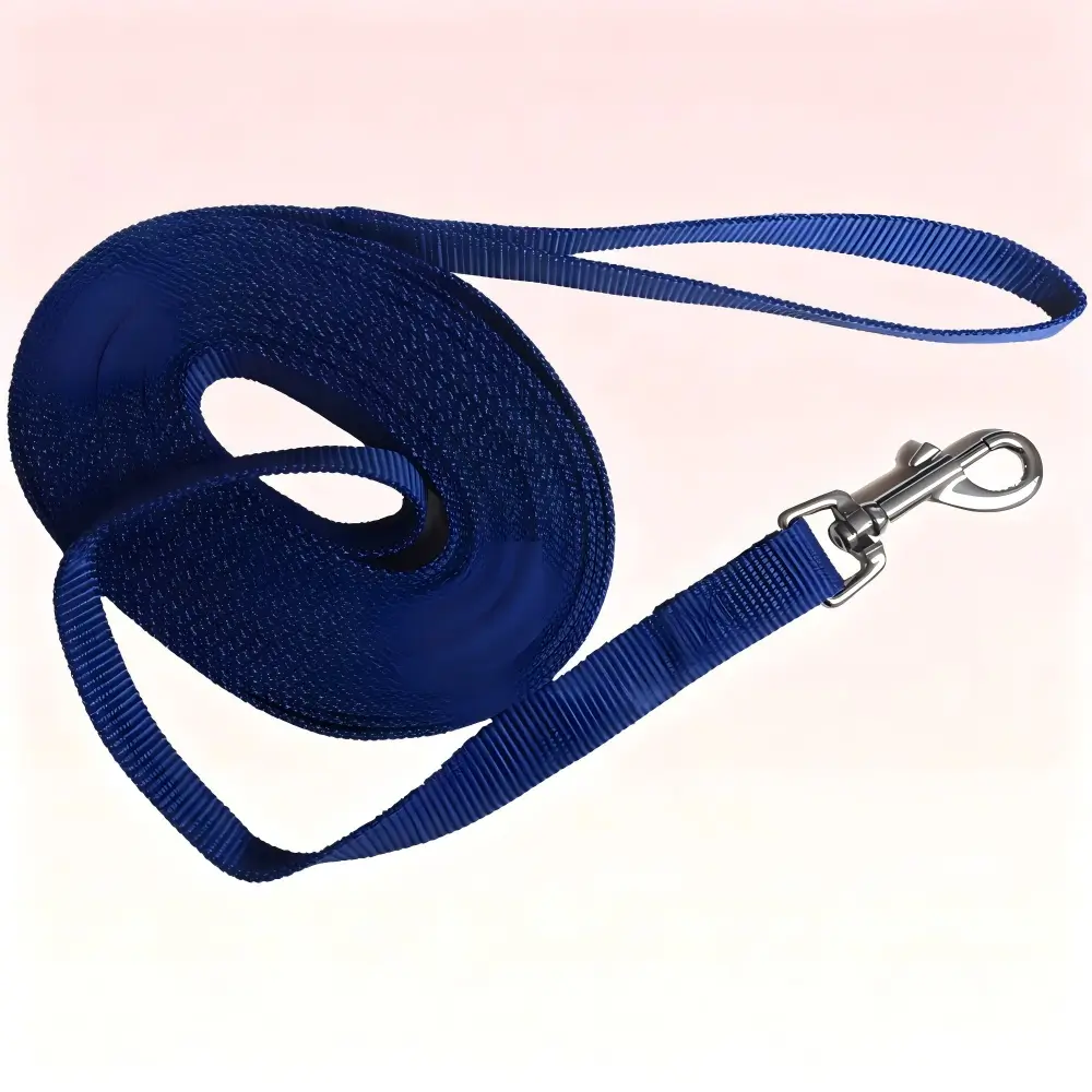 Dog Training Lead