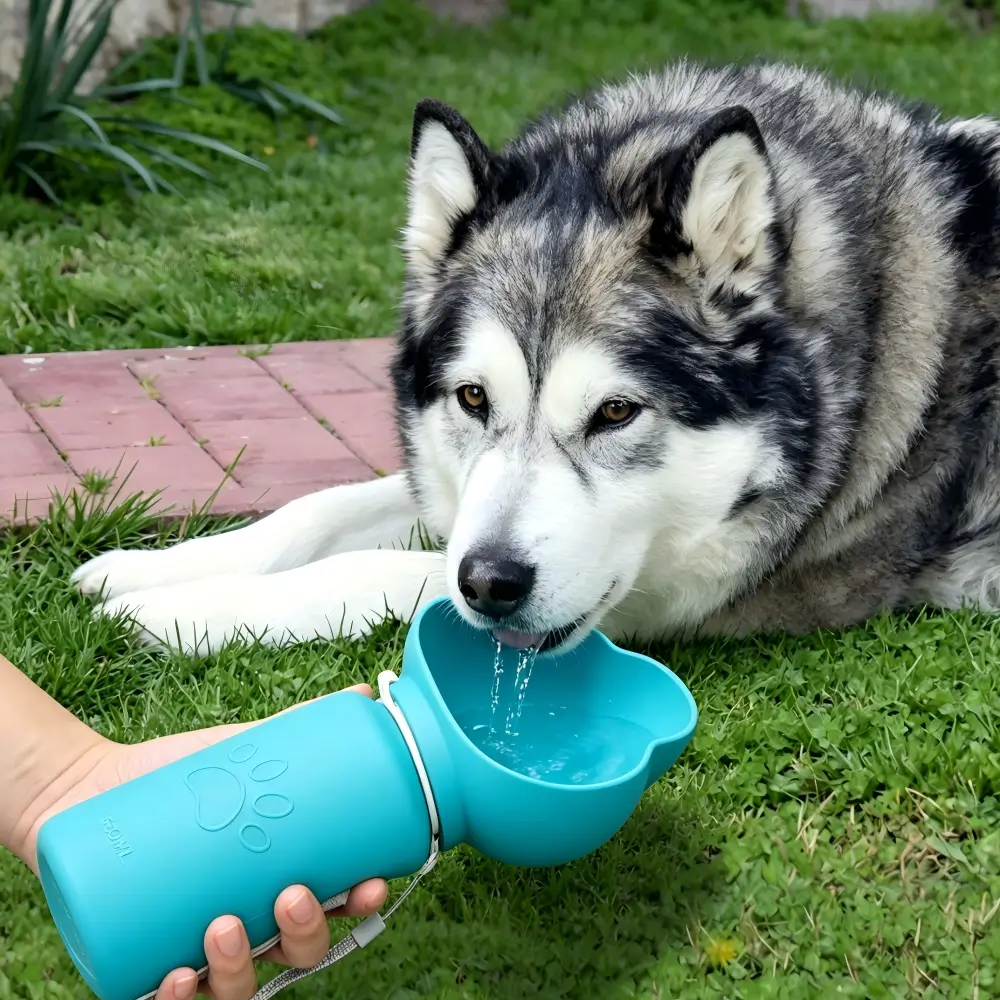 Dog Water Bottle