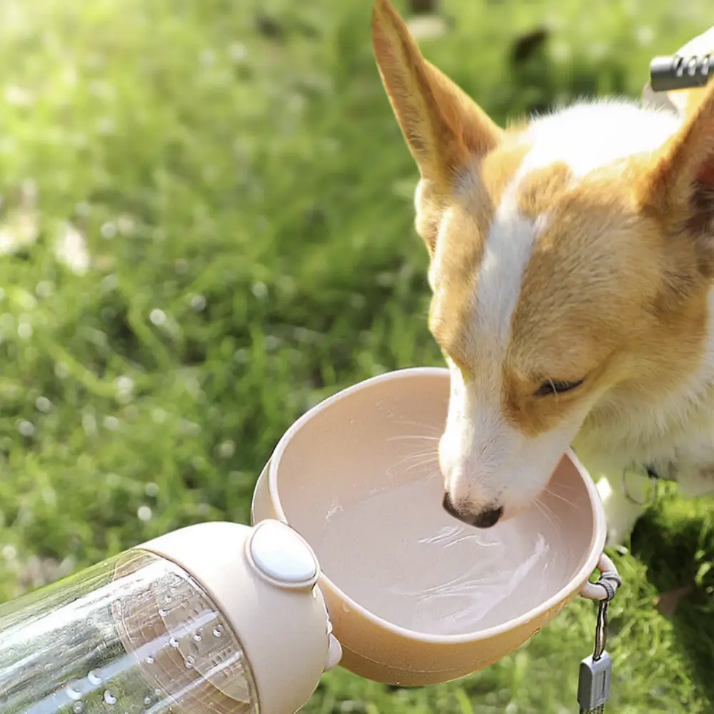 Dual Chamber Pet Travel Cup
