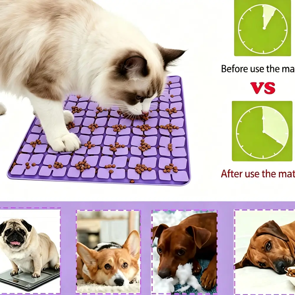Interactive IQ Training Pet Mat