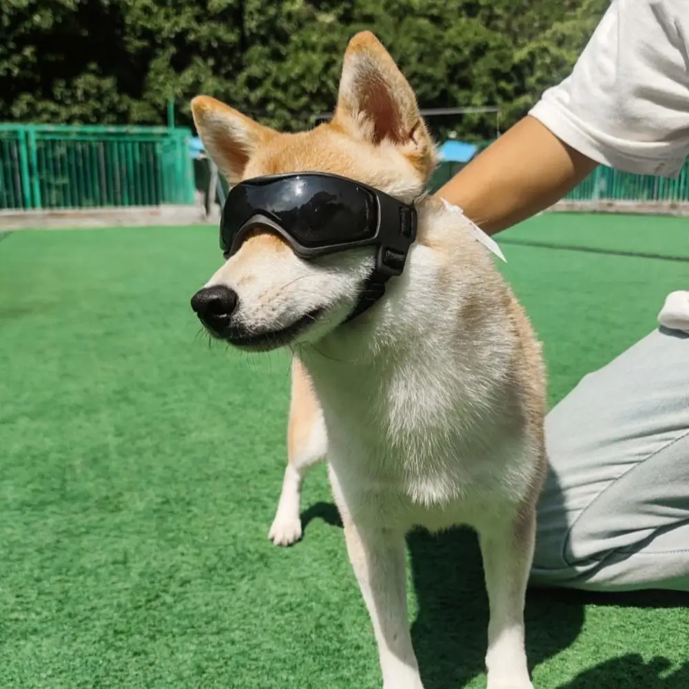 Medium Breed Pet Sunglasses