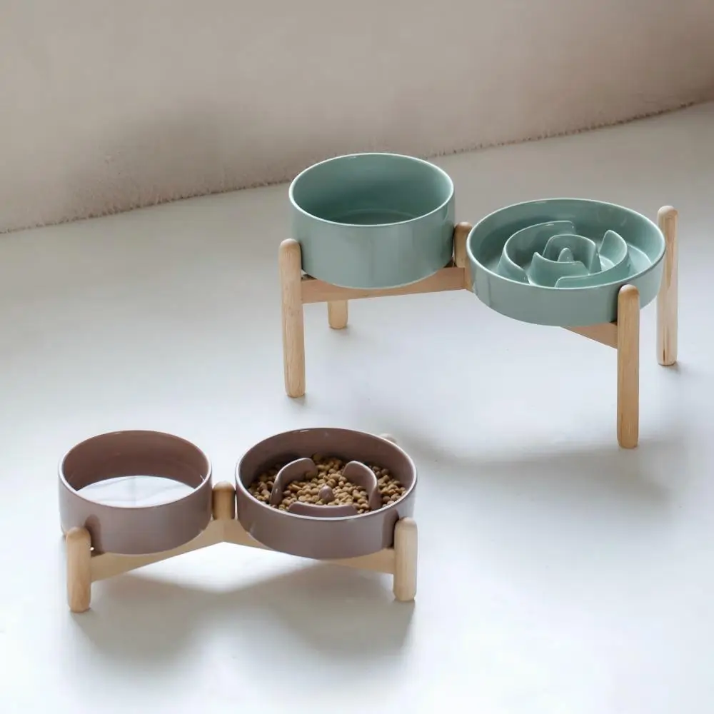 Modern Pet Dining Set