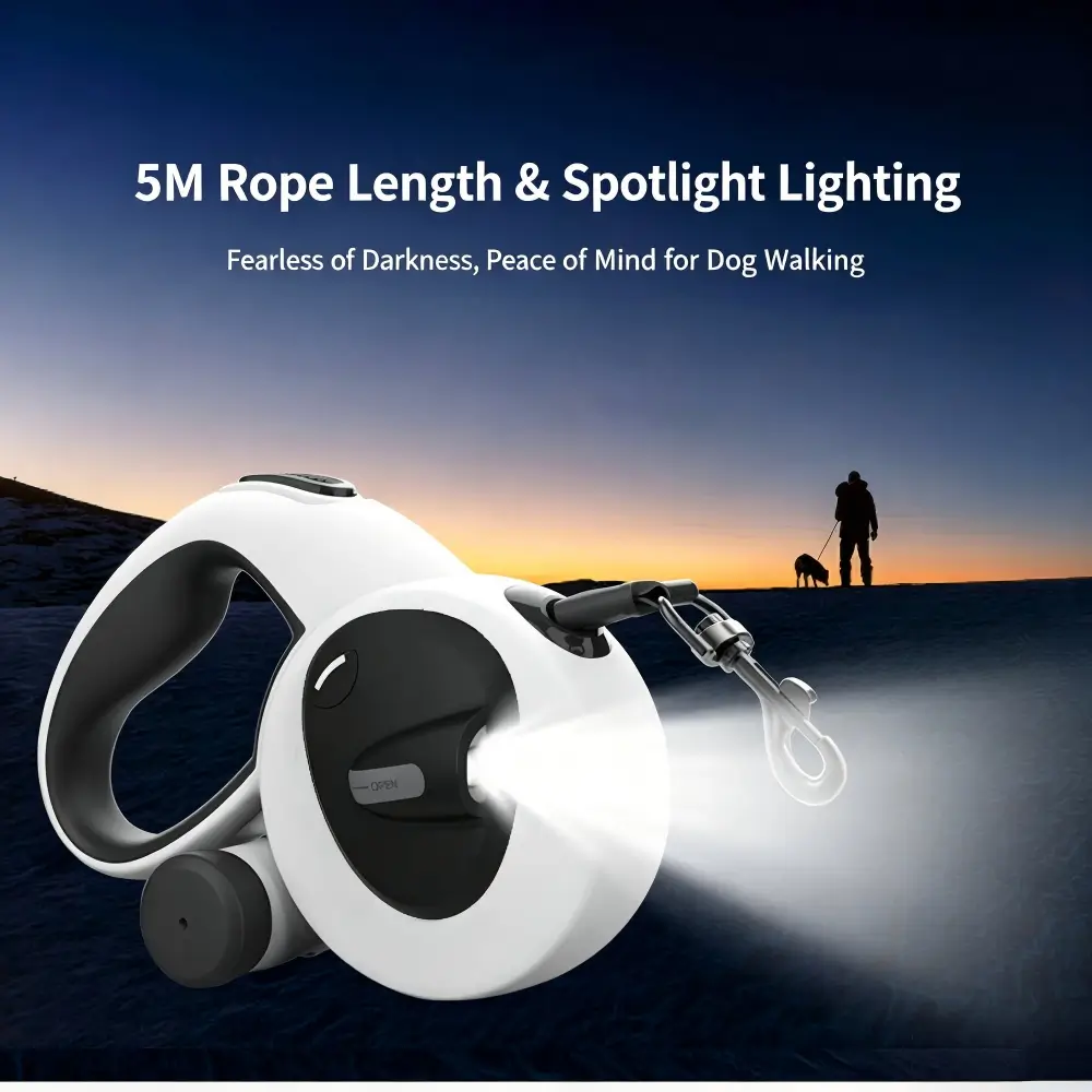 Night Walking Dog Gear