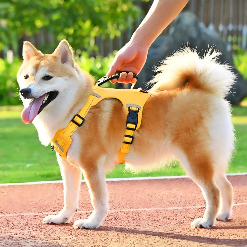 No Pull Dog Harness