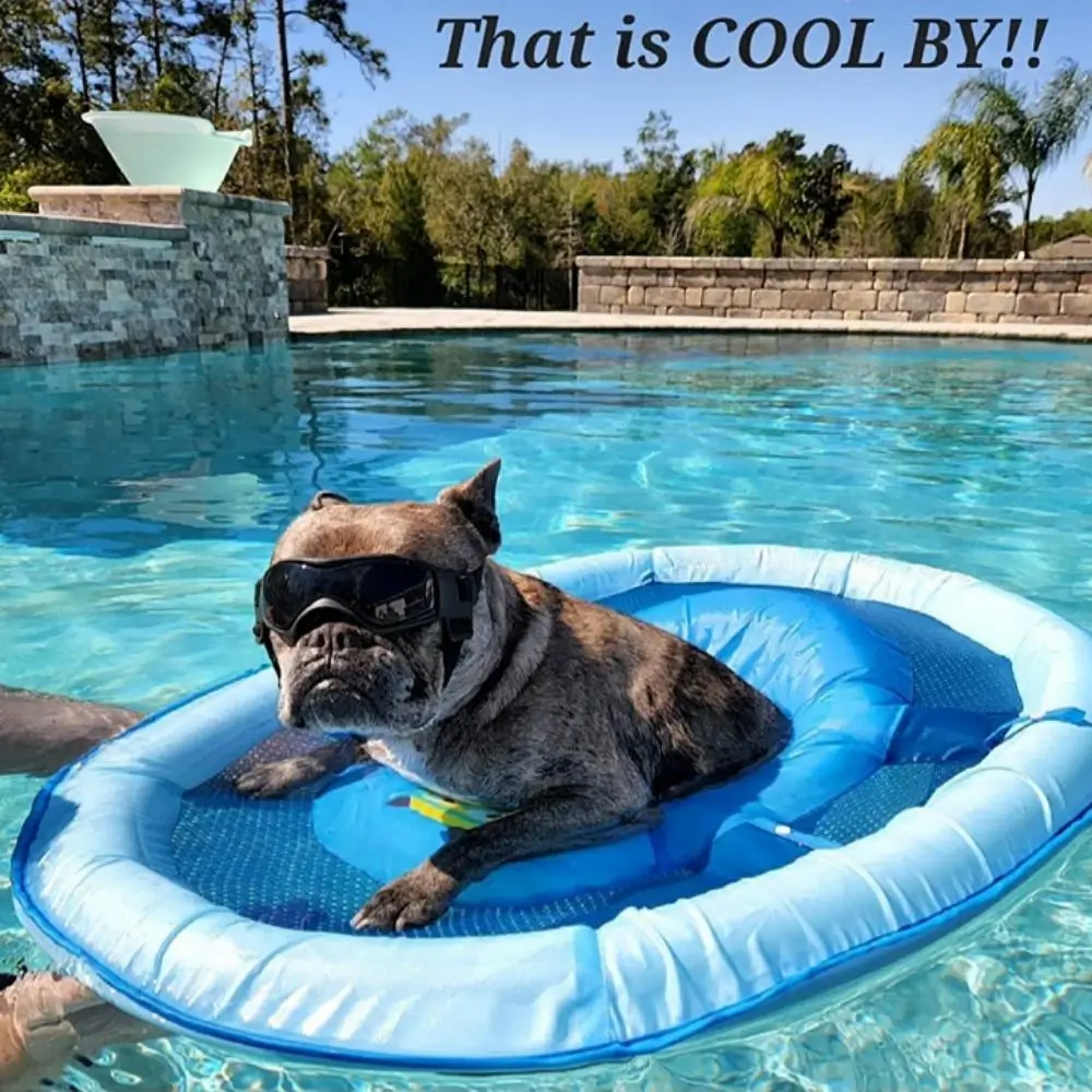 Puppy Eye Protection