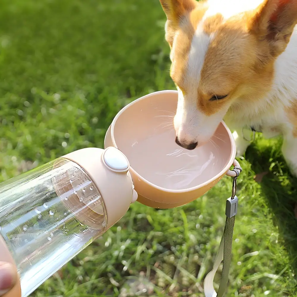 Refillable Pet Travel Drinker