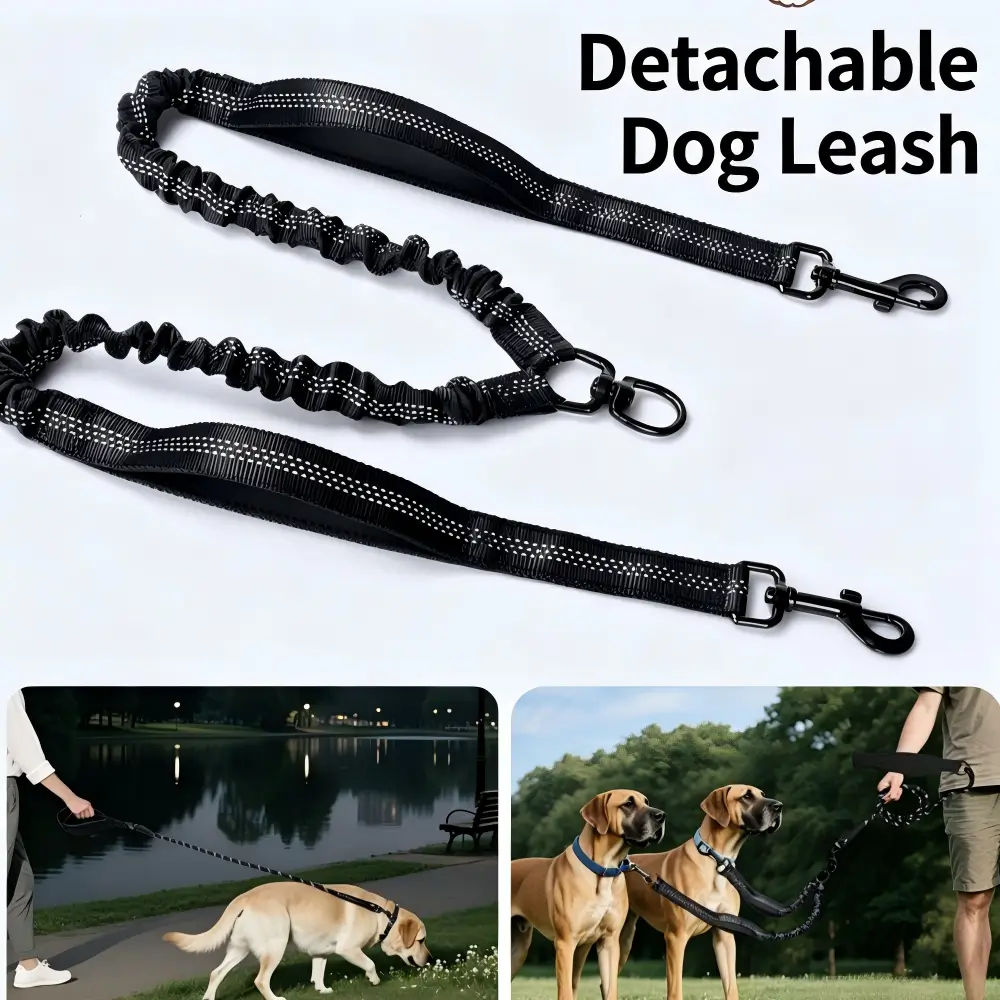 Reflective Double Pet Lead