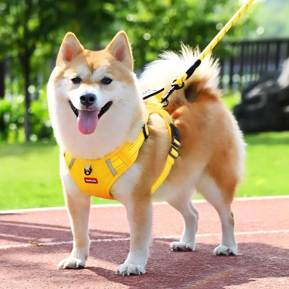 No Pull Dog Harness Reflective Adjustable Vest for Small Medium Dogs - Image 3