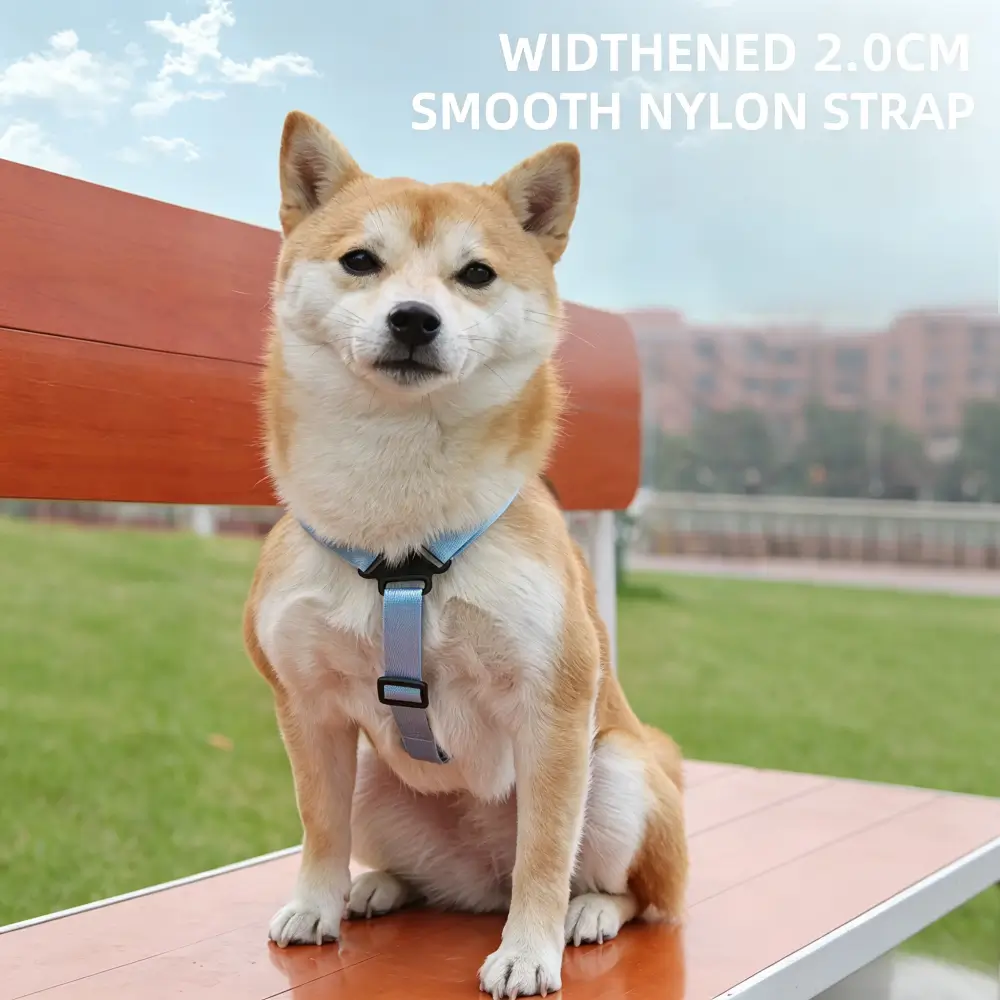 Portable Treat Carrier for Dogs