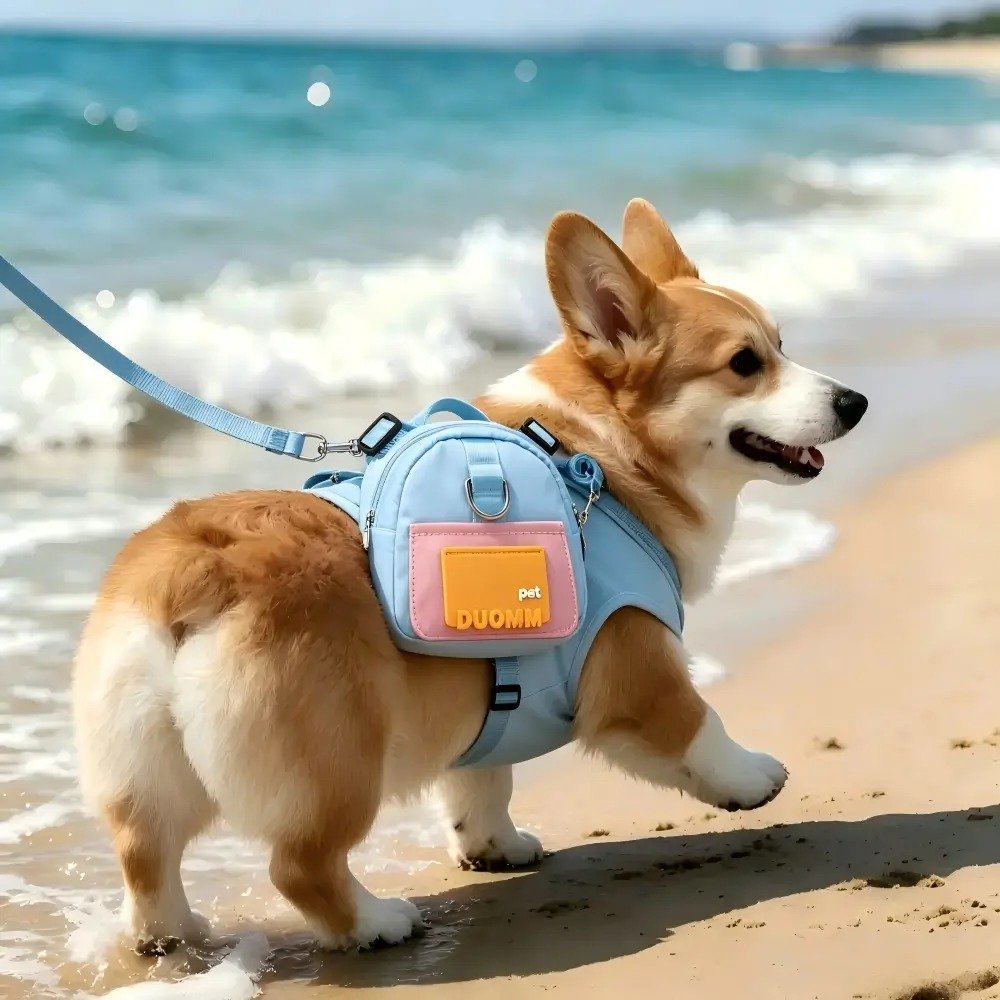 dog-travel-backpack