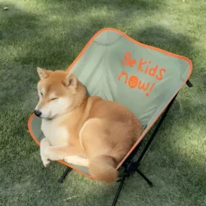pawpawjoy-ugc-sleeping-dog