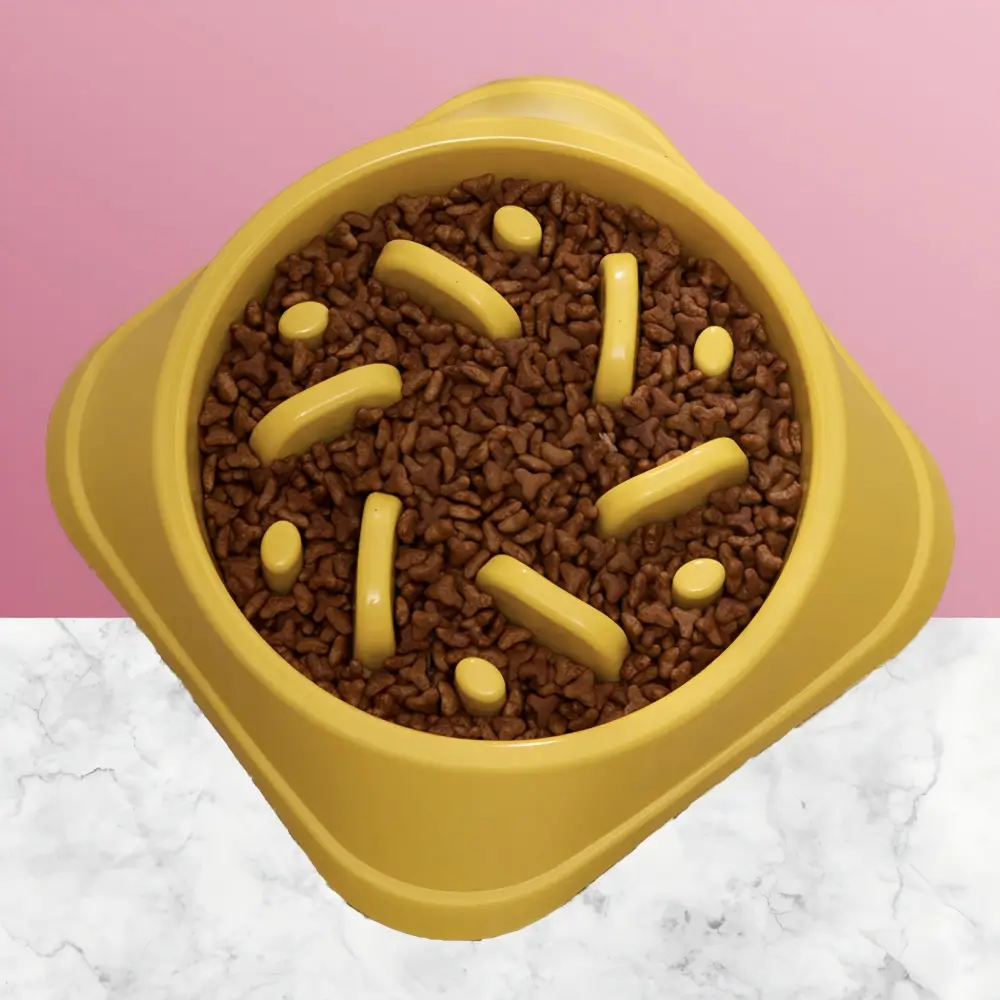 Anti-Choke Dog Bowl