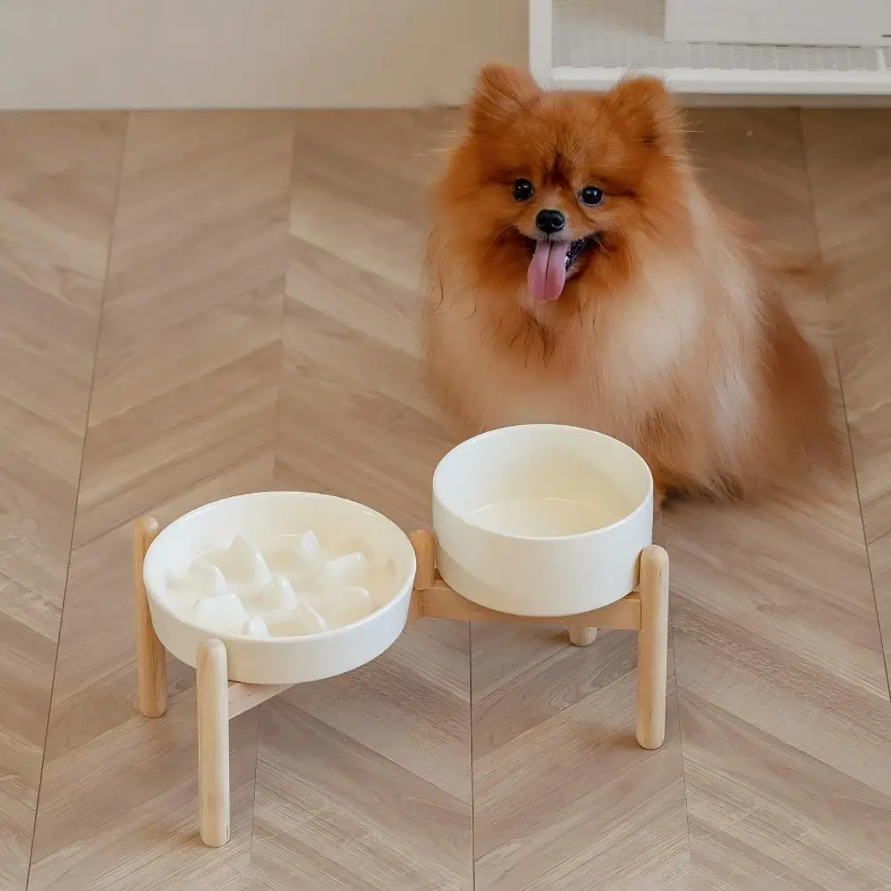 Elevated Dog Bowl with Wood Stand