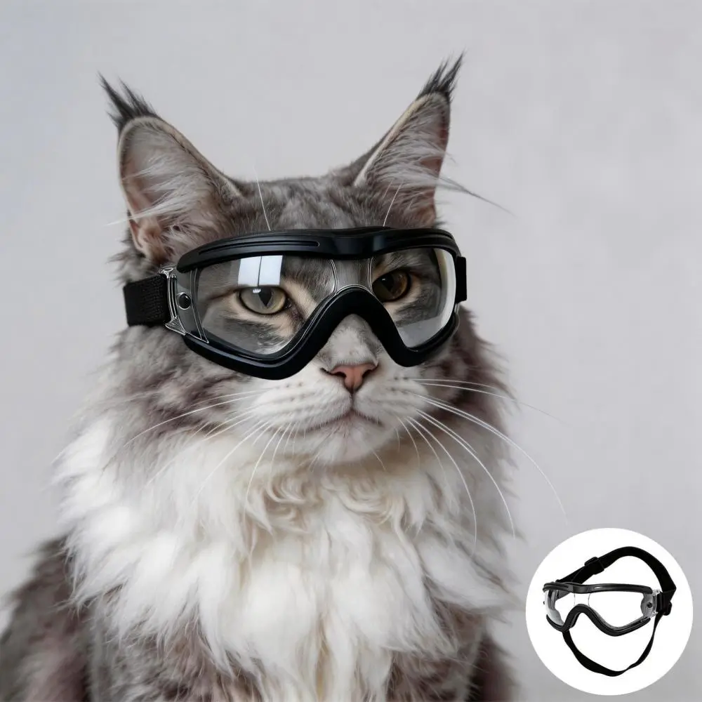 Cat Sunglasses