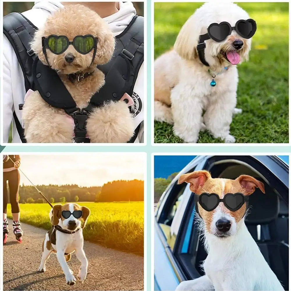 Cute Dog UV Protection Goggles