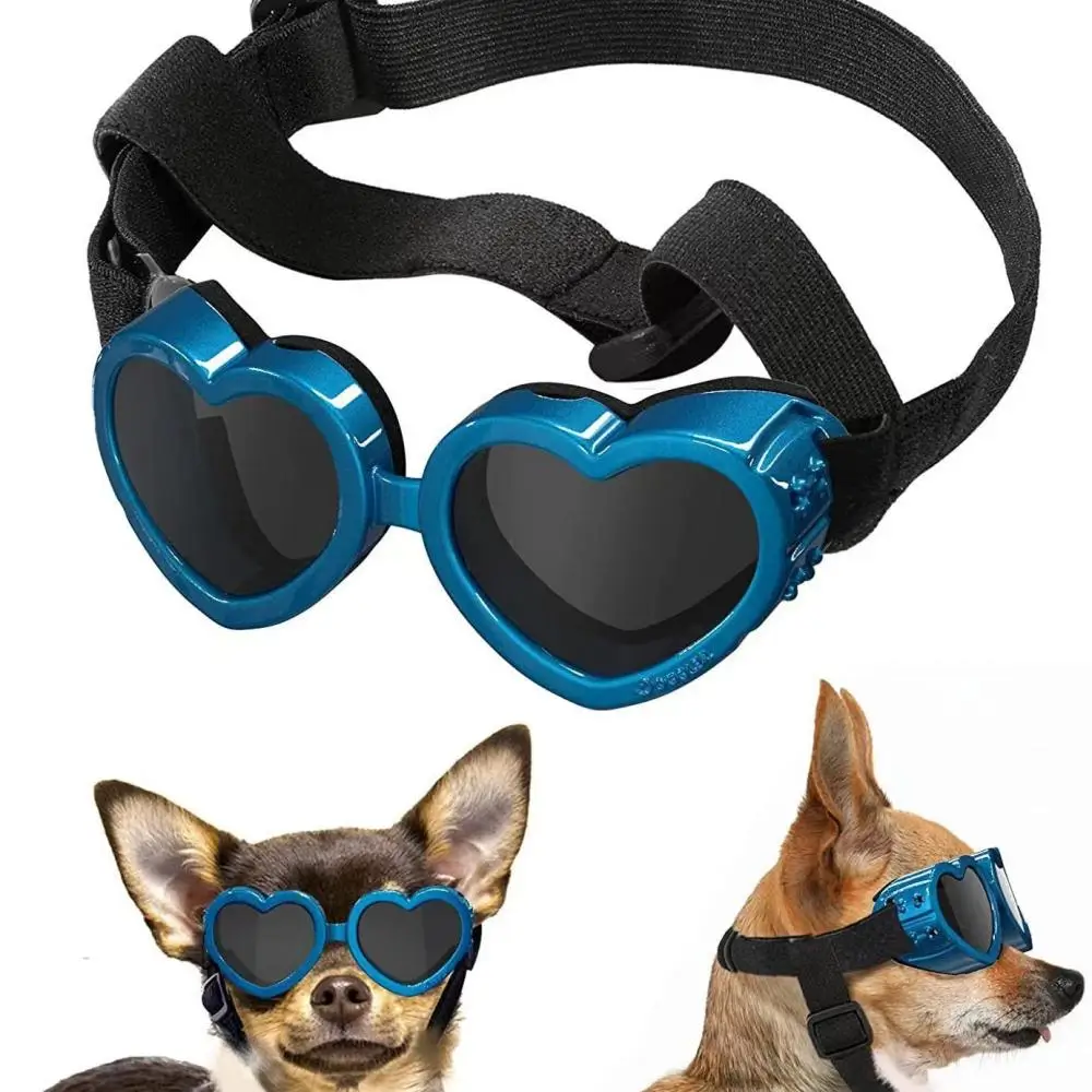 Fashion Dog Eye Accessories