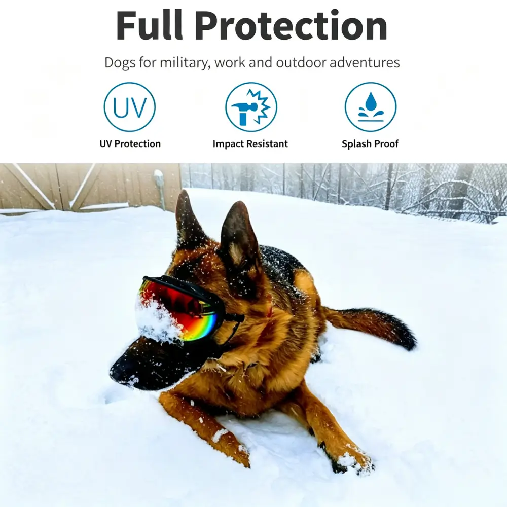 Impact-Resistant Dog Eyewear