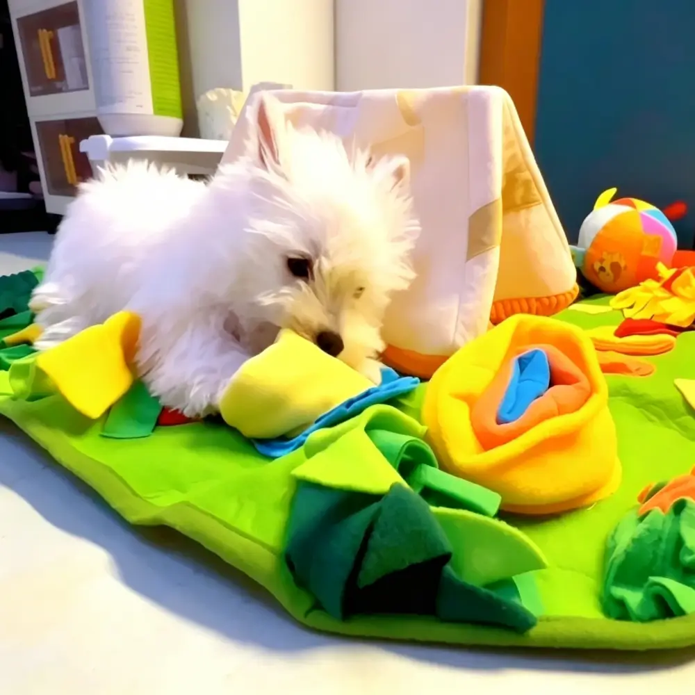 Interactive Foraging Toy