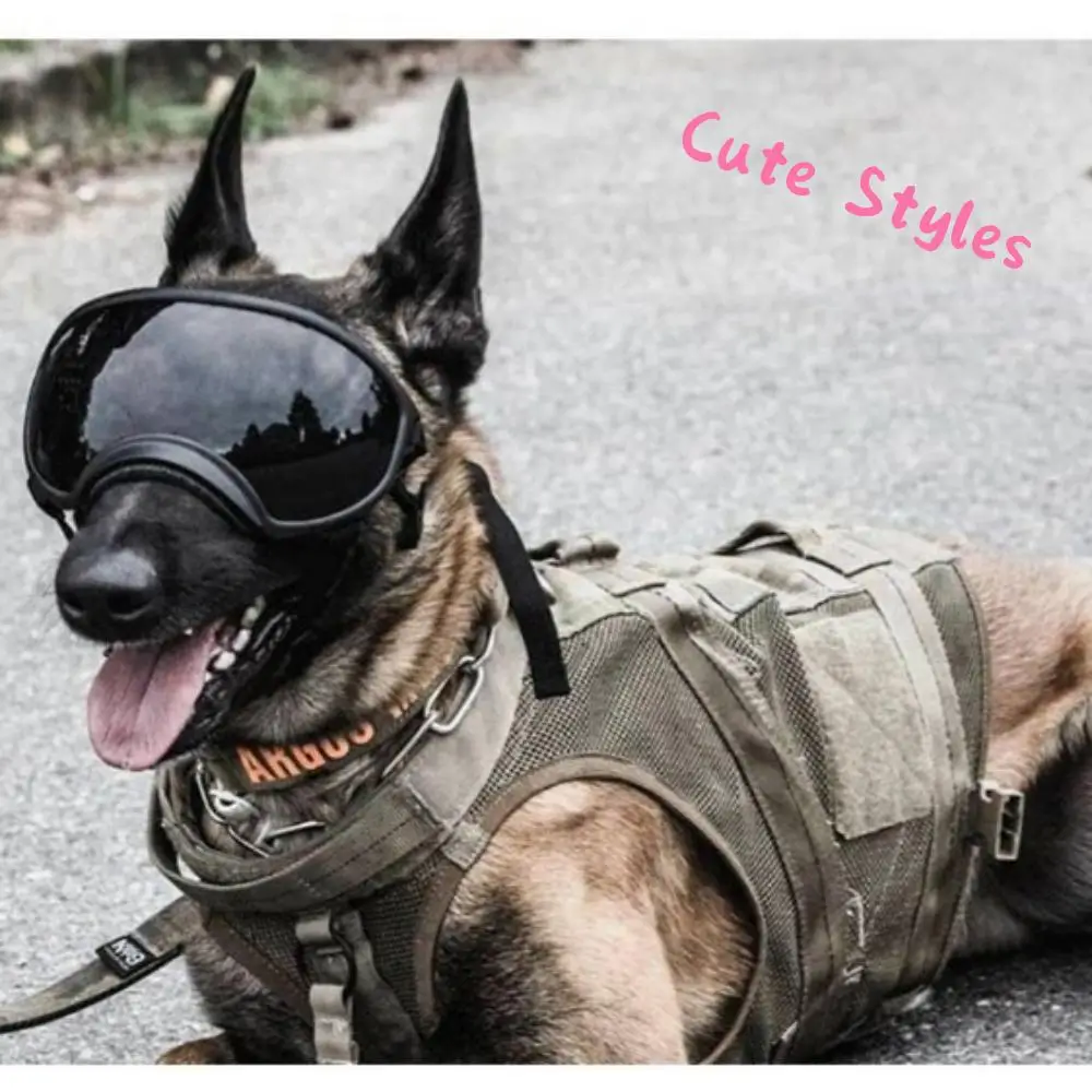 Professional Canine Sun Glasses