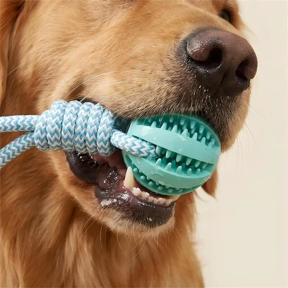 Dog Dental Care Chew Toy
